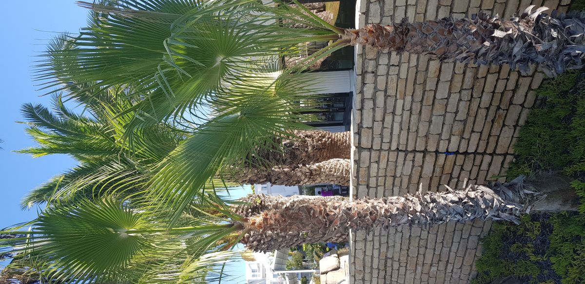 imagini hotel SEVEN SEAS BLUE SIDE